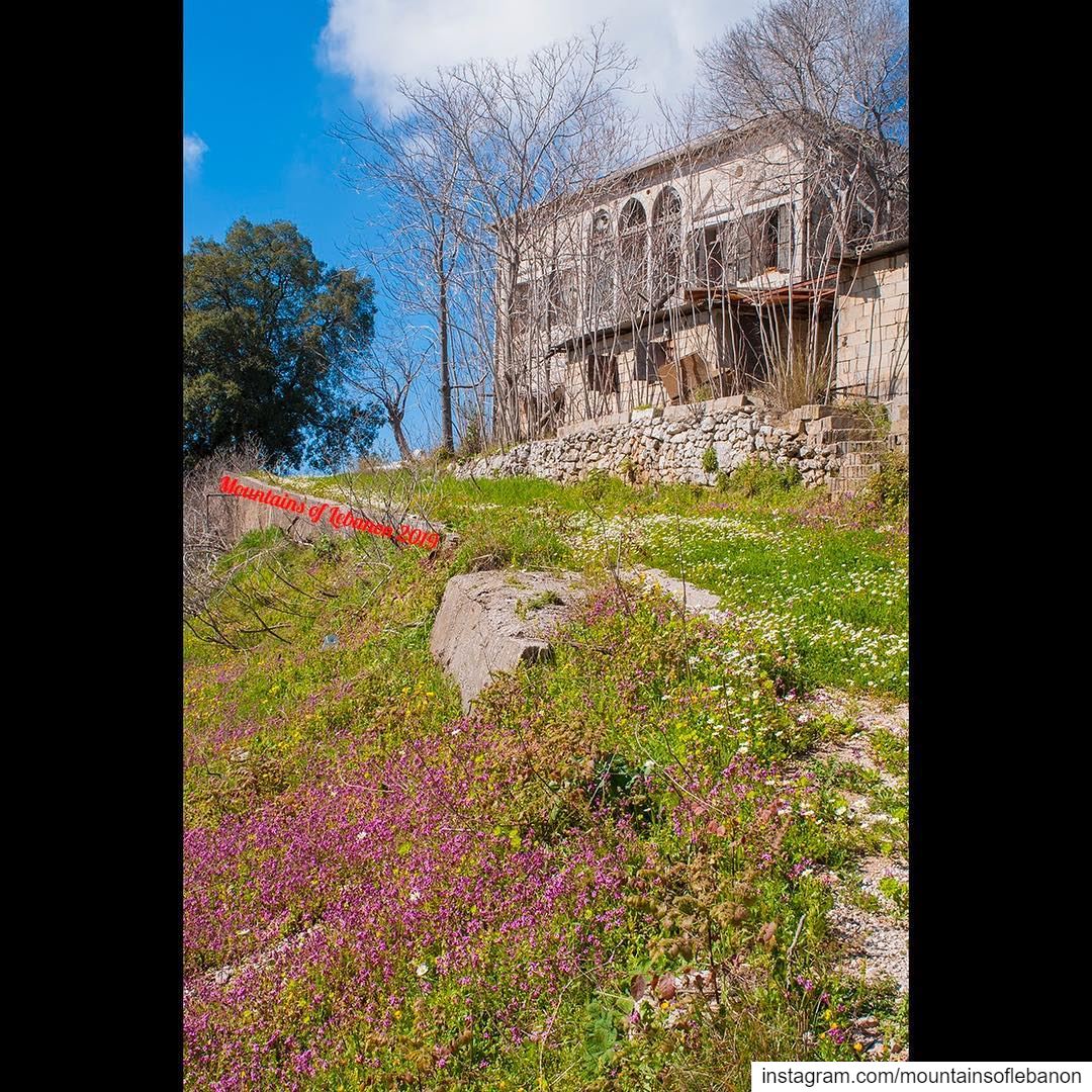 Further apart... this abandoned “Beik” house in the middle of a springily... (Ajaltoun, Mont-Liban, Lebanon)