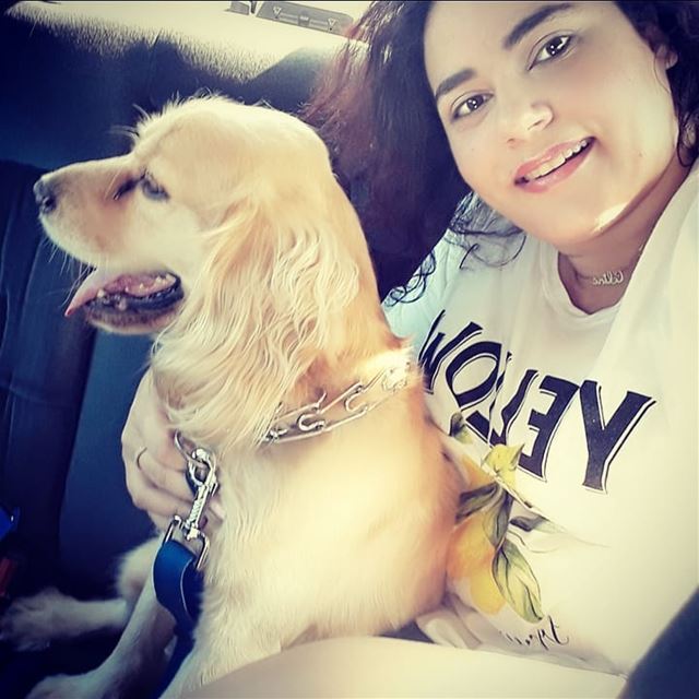  gazdoura  honeydog  mydogluvsme  doglovers  lebanon  followme✌ ...