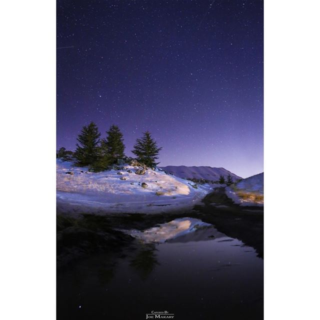  geminidmeteorshower  cedars  cedarsofgod  waterreflection  stars  sky ...