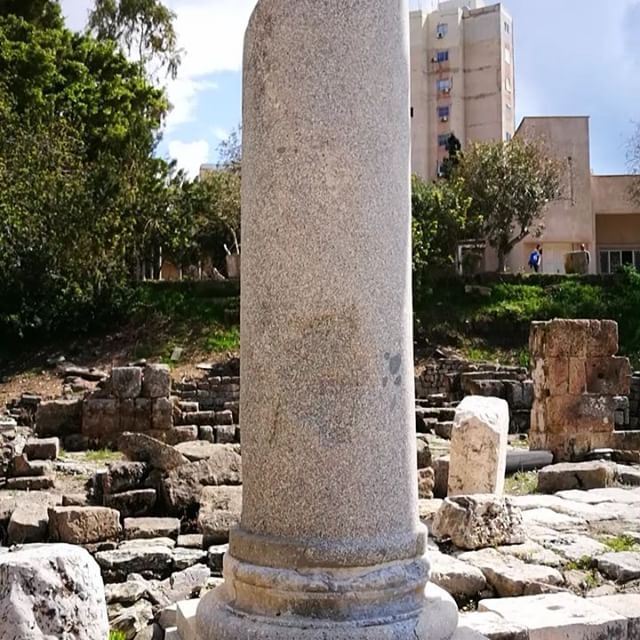 Get carried away and Walk with me the Roman Road at Tyre... (Tyre, Lebanon)