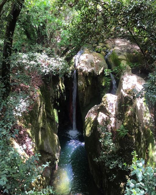 💦Get lost in nature🌿 a7labaladbil3alam 🇱🇧..... photo  love ... (El-Mukhtarah, Mont-Liban, Lebanon)