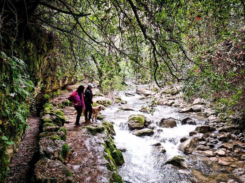 Get lost in nature and you'll find yourself  Alive 👭🐕... (El-Mukhtarah, Mont-Liban, Lebanon)