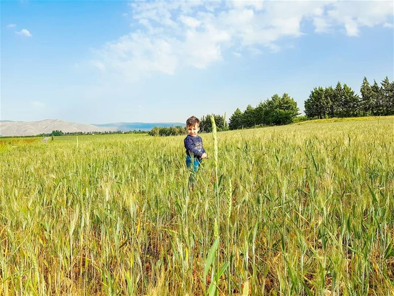 Get out of the way and let them play.🌾🌿🏃‍♂️💙💙 (Beqaa Governorate)
