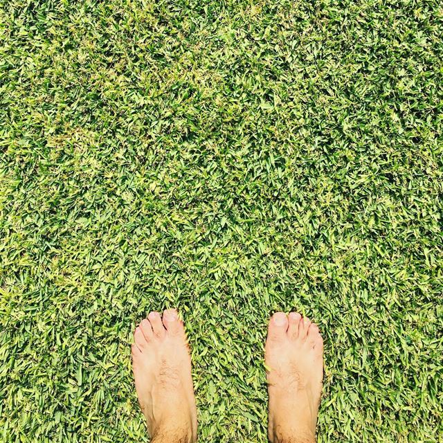 Get Your Feet In The Nature. lazyb  lazy  beach  sea  pool  grass  feet ... (Lazy B)
