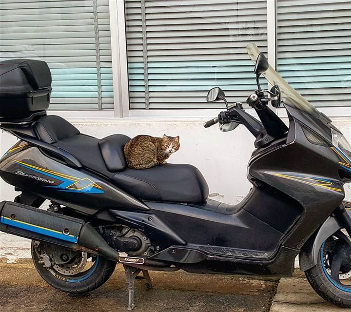 Get your motor runnin'Head out on the highwayLooking for adventureIn... (Beirut, Lebanon)