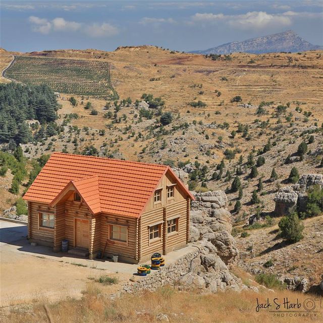 Getting ready for:  tannourinerush  tannourinecedarsnights  ليالي_ارز_تنوري (Tannourine Cedars Nights ليالي أرز تنورين)