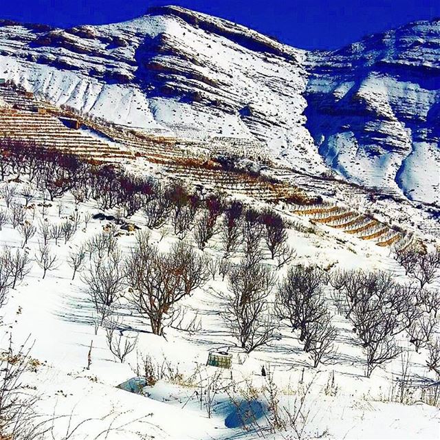 " Getting Ready For The Storm..." whatsuplebanon wearelebanon... (Mejdel-Al Akoura)