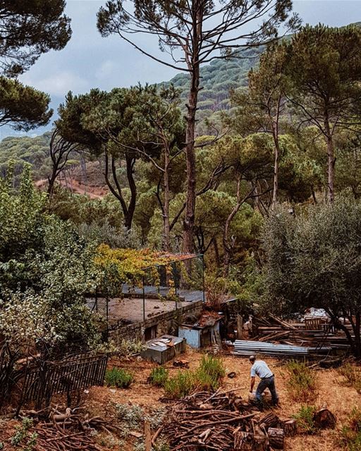 Getting ready for  Winter 🌧 🍃 StoriesFromLebanon WHPdailylife..... (Hasbayya, Mont-Liban, Lebanon)