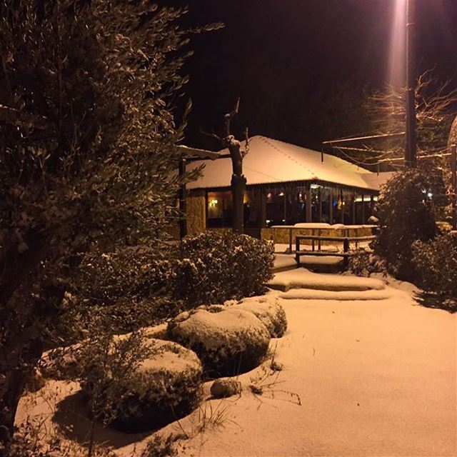 Getting whiter 😍  snow at  jalsat  restaurant  mayrouba  faraya  winter ...