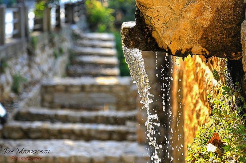 Ghazir, Lebanon.  lebanon  ghazir  source  stairs  old  water  flowers ...