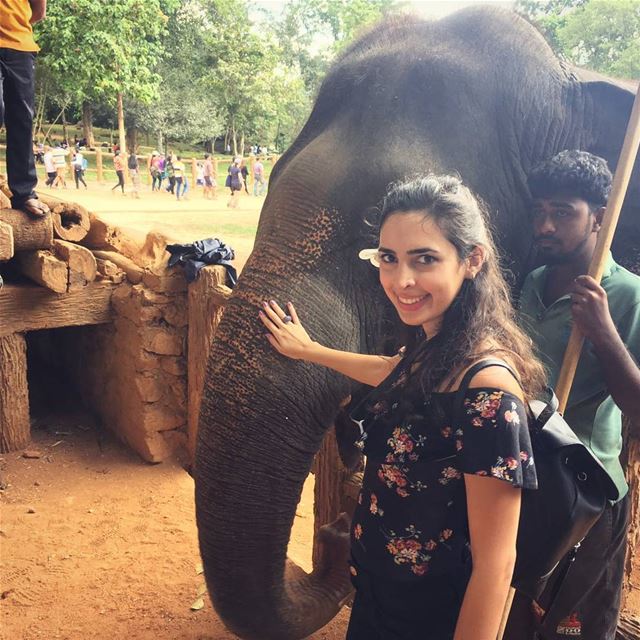  girl with the  elephant   pinnawala  flower  walk  relax  landscape ... (Pinnawala Elephant Orphanage, Srilanka)