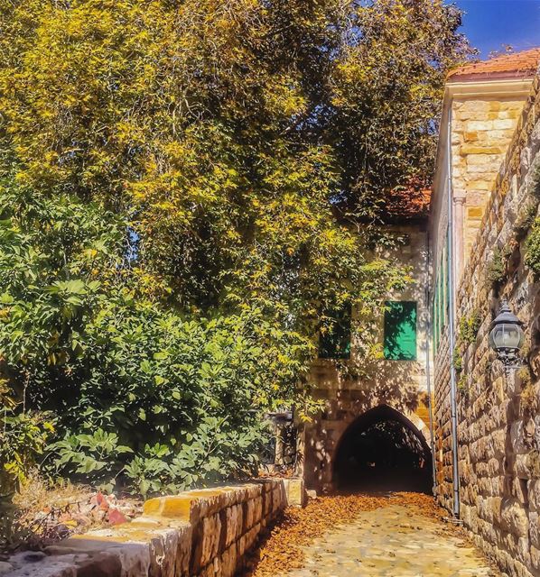 Give, and it will be given to you - Luke 6:38 ... (Ehden, Lebanon)