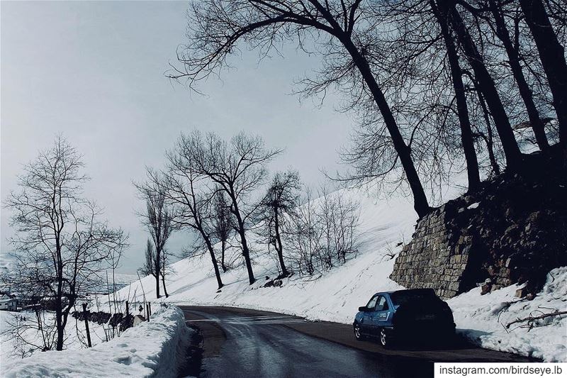 Gloomy ride.📍Bcharre | Lebanon..━ ━ ━ ━ ━ ━ ━ ━ ━ ━ ━ ━ ━ ━ ━ ━ ━ ━━... (Becharre - Cedars)