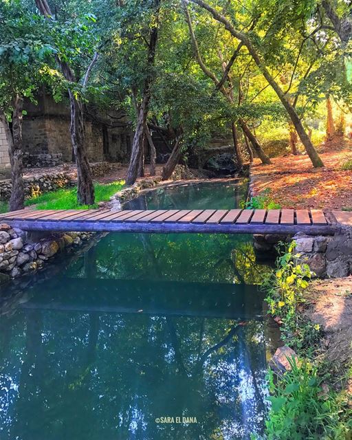 Go ahead.. You never know what could be on the other side 🍃 (Chouf)