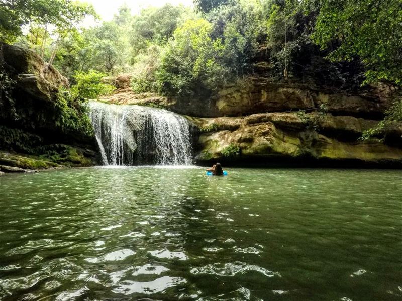 Go into the wild 🍃 (Chouf)