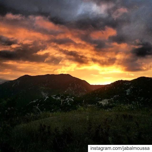 Go to  JabalMoussa to be soothed and healed, and to have your sense put in... (Jabal Moussa Biosphere Reserve)