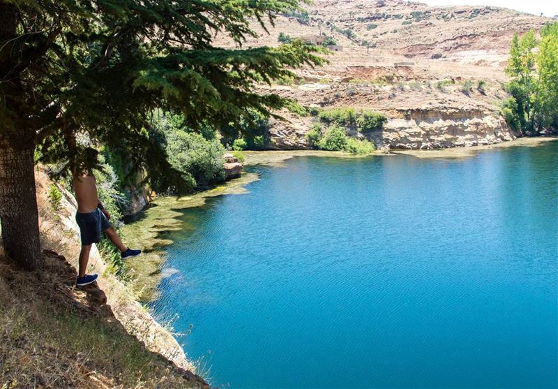 Go where you feel most alive 🏞..... nature lake lagoon trees... (El Laqloûq, Mont-Liban, Lebanon)