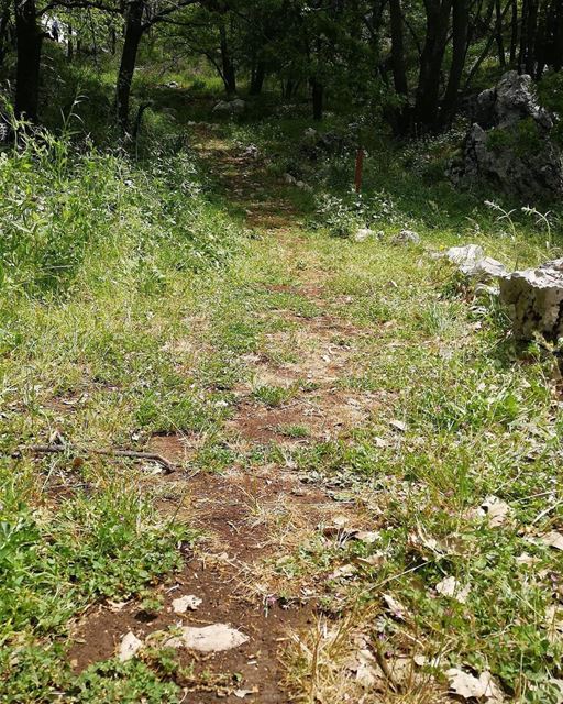Go where you feel the most alive. JabalMoussa  unescomab  unesco ...