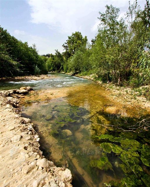Go with the flow 🌊🌳..... saraheidphotography  lebanon ... (علمان-الجنوب)