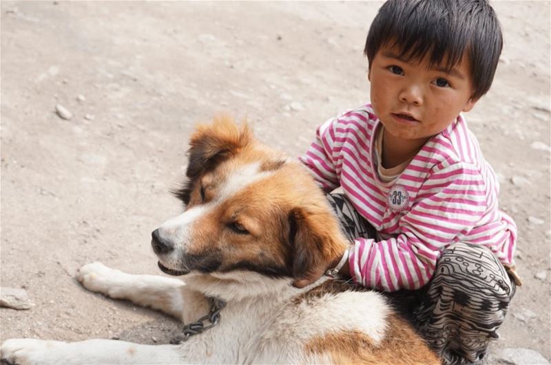 God has given you one face, and you make yourself another. "W. Shakespeare" (Langtang, Nepal)