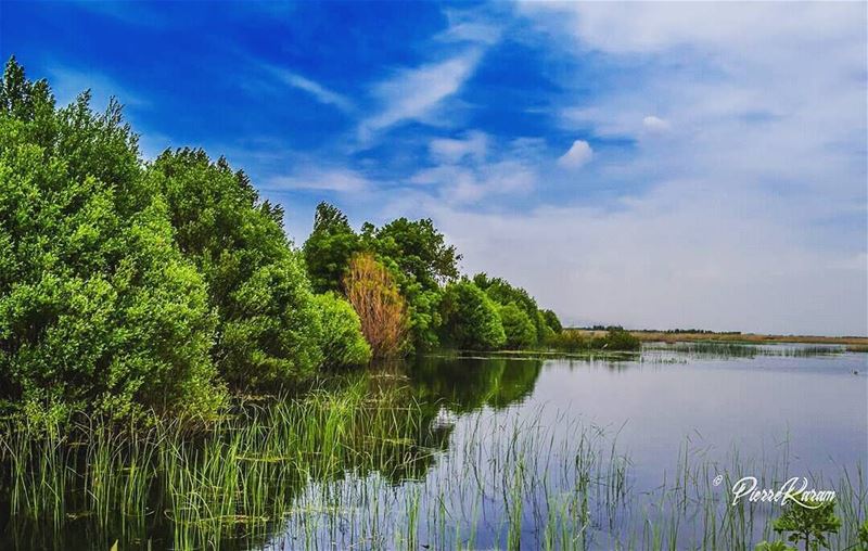  god is the  greatest  painter... ammiq  swamp  water  reflection ...