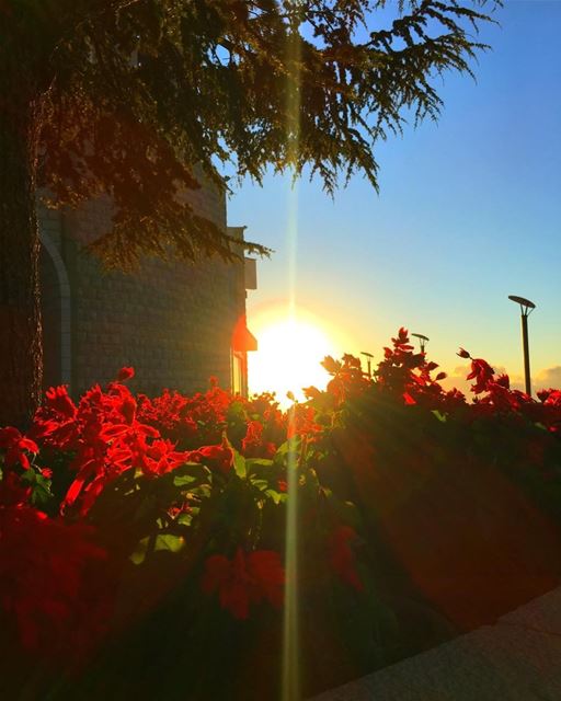 " God's Mercy Is Fresh And New Every Morning..." whatsuplebanon... (Annaya-mar charbel)