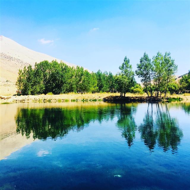 God’s Reflection. cedar  arz  cedaroflebanon  mountain  lebanon  beirut ... (Arz)