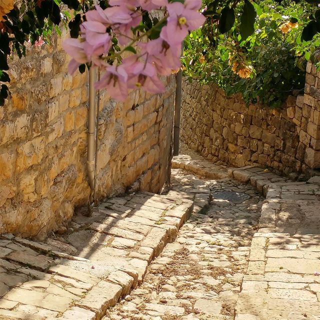 Going to the bakery for a manooshe.  morningwalk  cornerbakery  manoosh ... (Dayr Al Qamar, Mont-Liban, Lebanon)