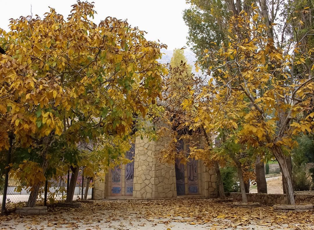Golden colours of  autumn  fall  church  churchlovers  mountain  walnut ... (Lebanon)