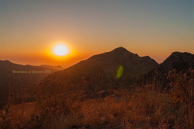 Golden hour framed by oak trees well above the sea of clouds below...... (Arz Tannoûrîne)