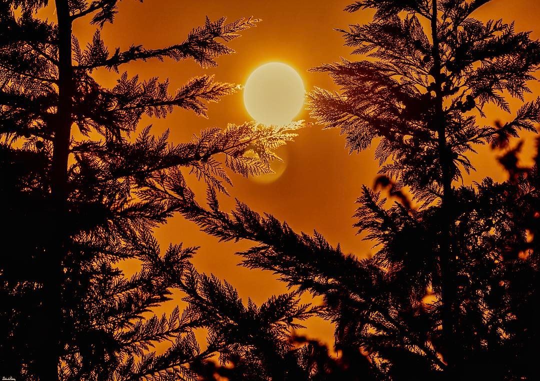 Golden sunset...... livelovebeirut  instadaily  nikon  instagood ... (Sawfar, Mont-Liban, Lebanon)