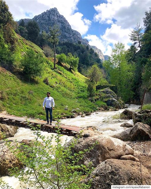 Good afternoon from Akkar 😍Credits to @salahhadba ..  akkar  mountains... (Akkar)