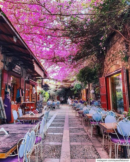 Good afternoon from Jbeil 😍Credits to @framewithaview・・・Not only am I... (Byblos - Jbeil)