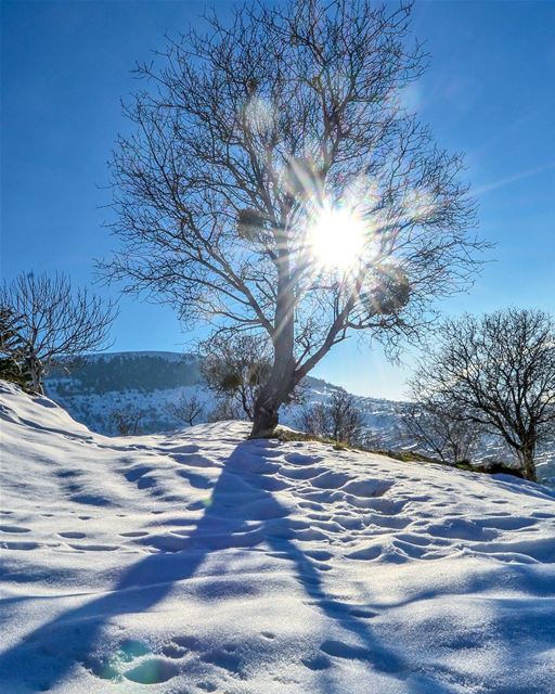 .Good afternoon from Lala. West Bekaa. The aftermath of the snowstorm ... (Lala, Béqaa, Lebanon)