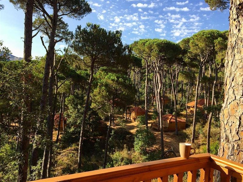 Good days start with coffee ☕️ 🌳☉📸@rittahbaronian LaMaisonDeLaForet ...