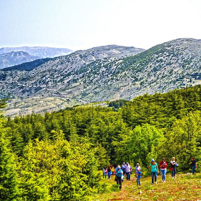 Good evening all !Hiking mount Barouk the last summer! Camera : nikon...