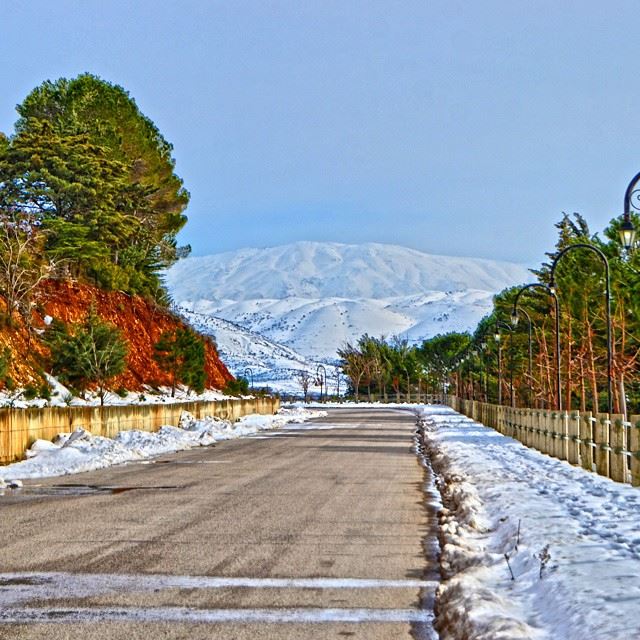 Good evening all with this lovely picture from Bekaa❄ ❄ ❄ ❄ ❄ ❄ ❄ ❄ ❄ ❄ ❄...