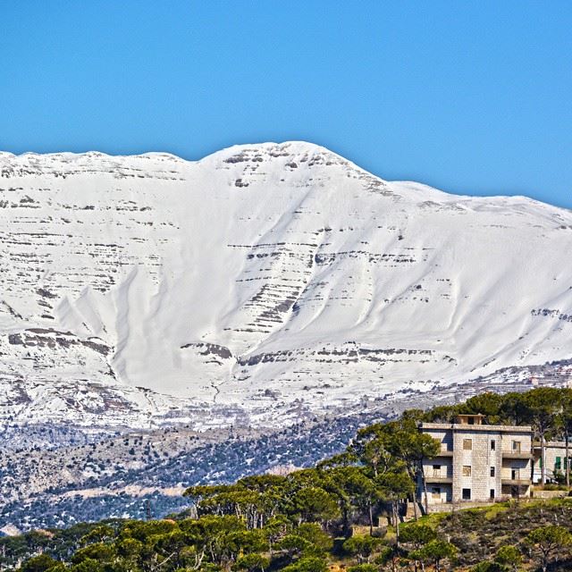 Good evening all with this lovely picture of mount Sannine covered by...