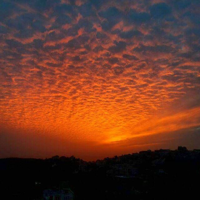 Good evening all with this lovely shot taken by my friend kanaan an hour...