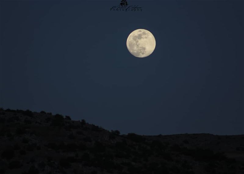 Good evening 👋🌑• • •  chouf  shoufreserve  lebanon  beirut ...