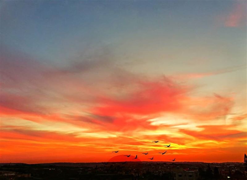 Good evening dear followers with this amazing sunset Photo taken by @place (Ghassâniye, Al Janub, Lebanon)