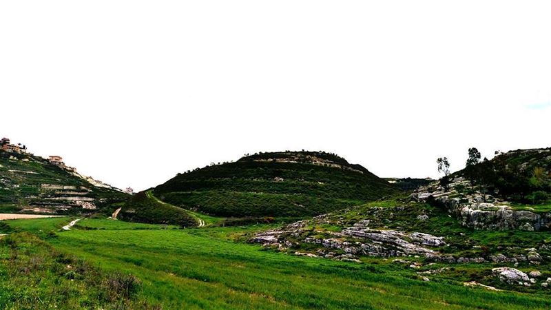 Good evening dear followers with this amazing viewPhoto taken by @places. (Ghassâniye, Al Janub, Lebanon)