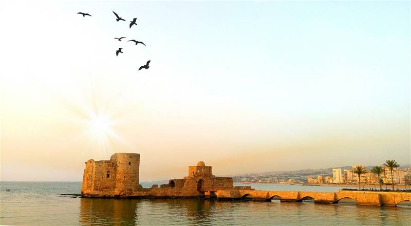 Good evening dear followers with this amazing viewPhoto taken by @places. (Saïda, Al Janub, Lebanon)