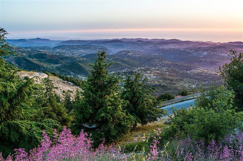 .Good evening dear friends from Barouk,Lebanon! ..Tags:  ig_lebanon ... (Barouk Cedar Forest)