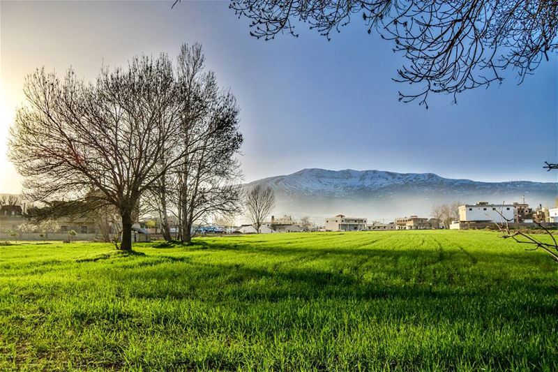 Good evening dear friends from Bekaa . And first snow !...