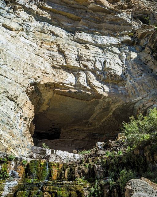 Good evening dear friends with this amazing photo from Afka Cave! This... (Afka, Mont-Liban, Lebanon)