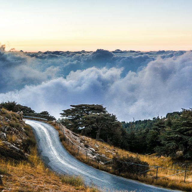 Good evening dear friends with this amazing photo from barouk today! ...