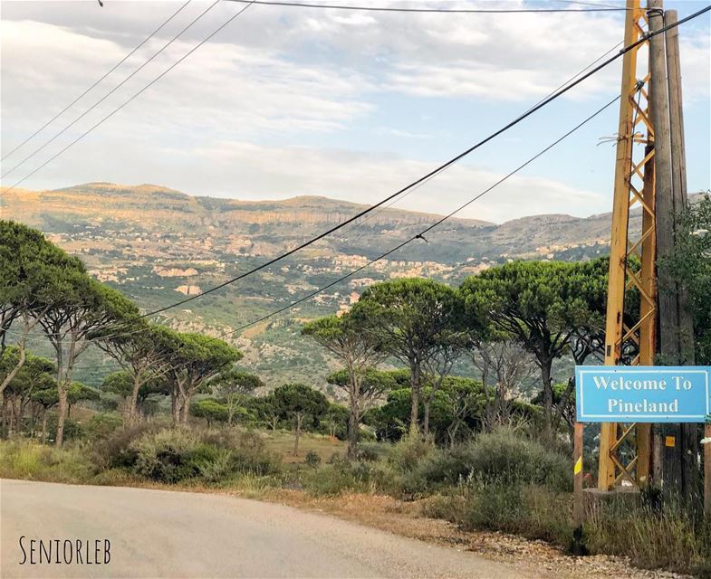 Good Evening from the PineLand 🌲 Lebanon 🇱🇧  beirut  lebanon  pineland ... (Ra'S Al Matn, Mont-Liban, Lebanon)