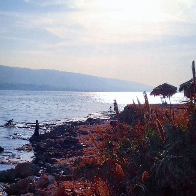 Good evening from TRIPOLI...  TripoliLB  Tripoli  ElMina  North_Lebanon ...