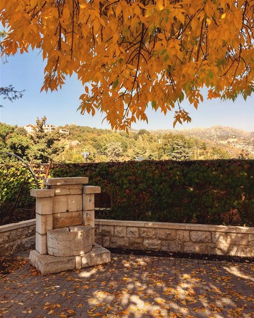 Good evening 🍂........ leaves  fall  season  nature  tree ... (Ehmej, Mont-Liban, Lebanon)
